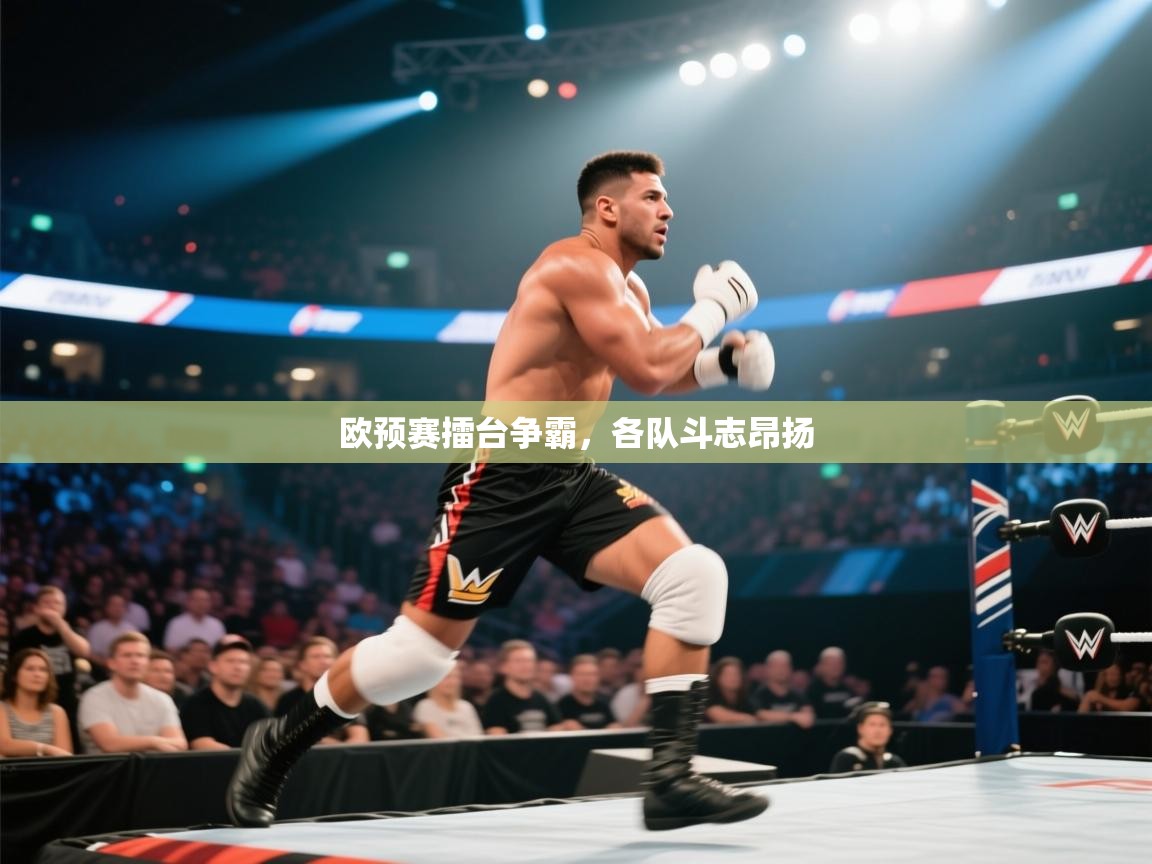 欧预赛擂台争霸,各队斗志昂扬 第1张