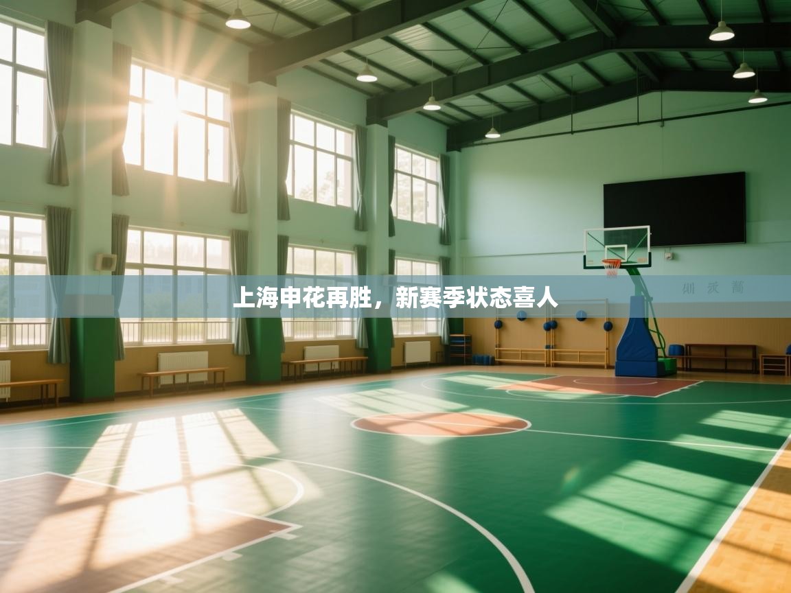 上海申花再胜，新赛季状态喜人  第1张