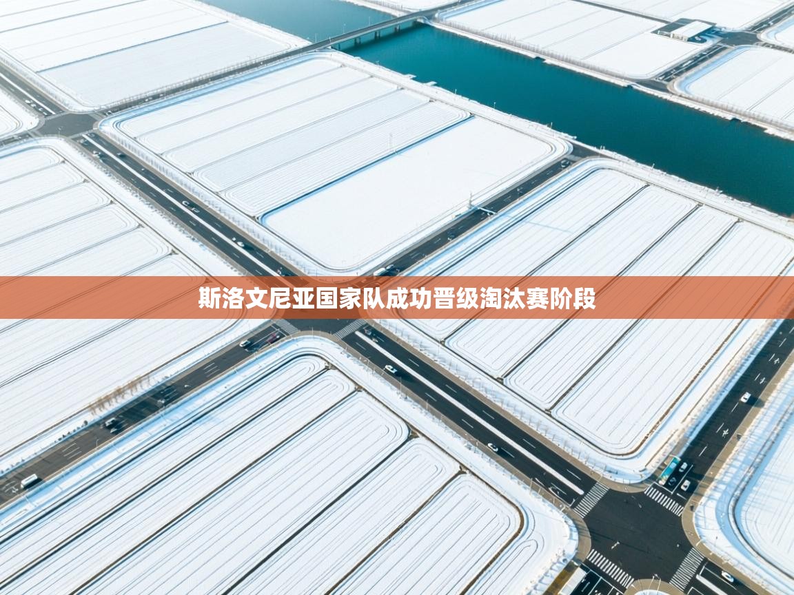 斯洛文尼亚国家队成功晋级淘汰赛阶段  第1张