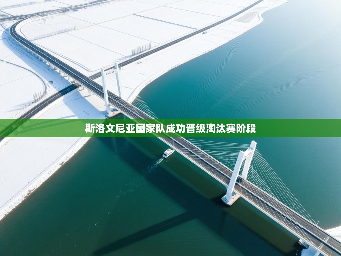 斯洛文尼亚国家队成功晋级淘汰赛阶段  第2张