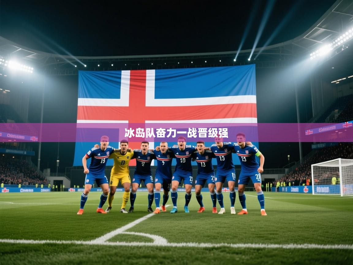 冰岛队奋力一战晋级强 第2张